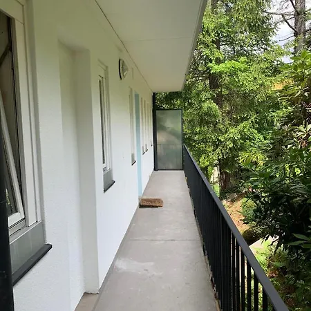 Belle Vue Lugano